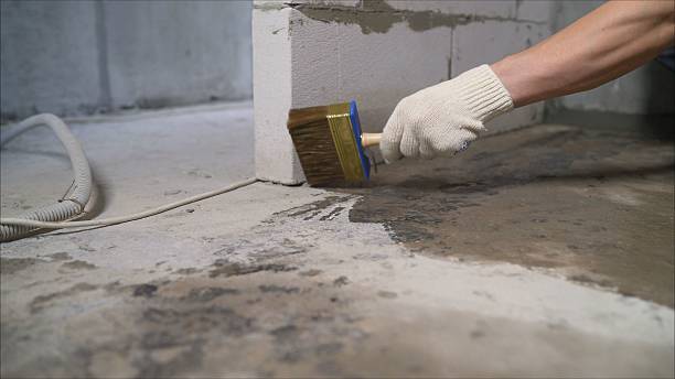 24/7 Emergency Crawl Space Encapsulation experts in Bogota, NJ